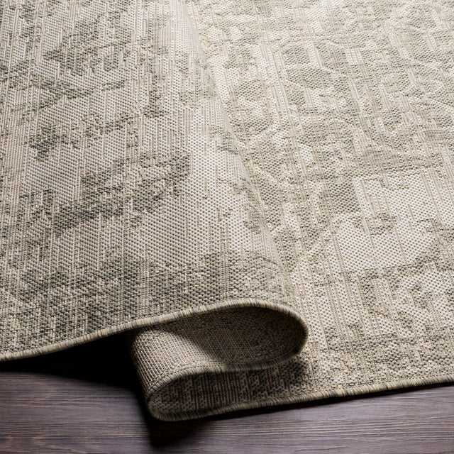 Surya Eagean Eag-2380 Gray, Oatmeal, Light Beige Rugs.