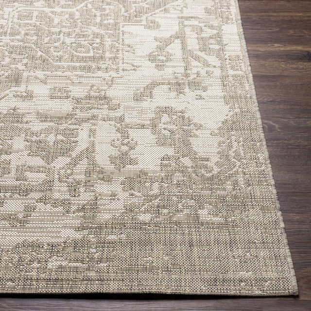 Surya Eagean Eag-2380 Gray, Oatmeal, Light Beige Rugs.