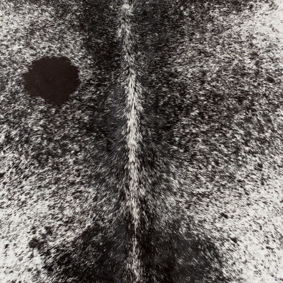 Surya Easton Eas-4000 Black, Ivory Rugs.