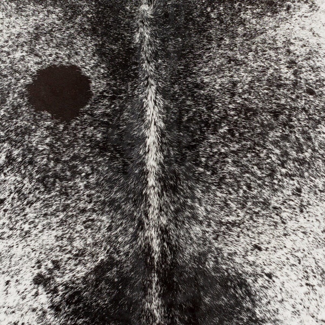 Surya Easton Eas-4000 Black, Ivory Rugs.