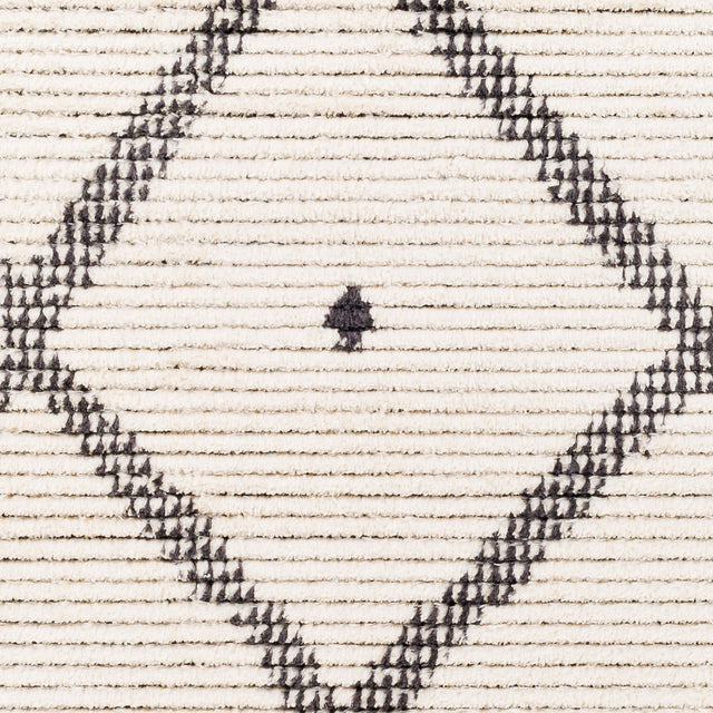 Surya Enzo Enz-2301 Black, Cream Rugs.