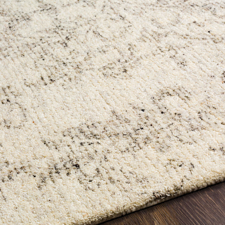 Surya Evolution Evl-2301 Medium Gray, Charcoal, Beige, Cream Rugs.