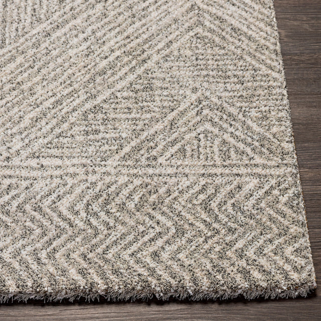 Surya Gavic Gvc-2300 Silver Gray, Beige, Charcoal Rugs.