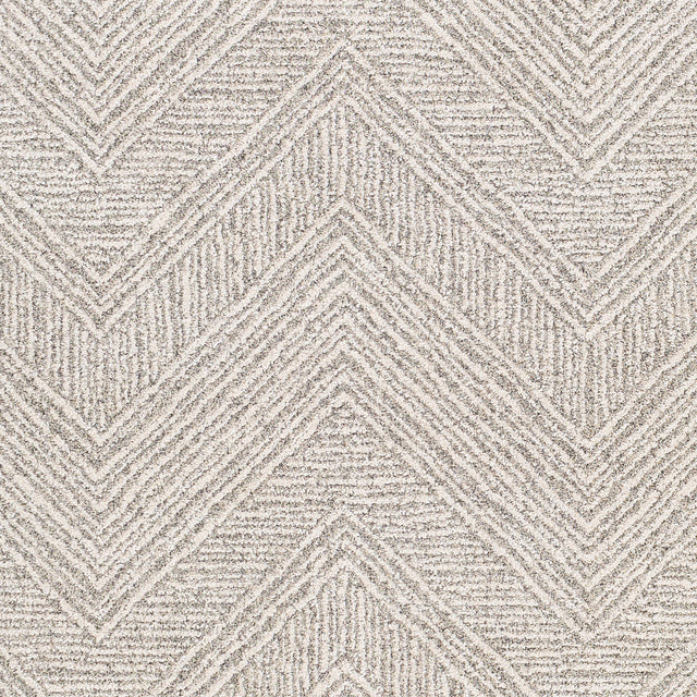Surya Gavic Gvc-2300 Silver Gray, Beige, Charcoal Rugs.