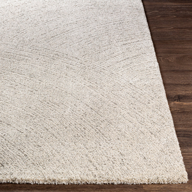 Surya Gavic Gvc-2307 Cream, Beige, Light Gray, Taupe Rugs.