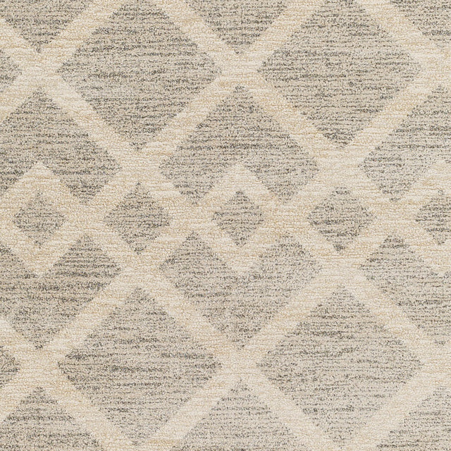 Surya Gavic Gvc-2318 Grey Rug.
