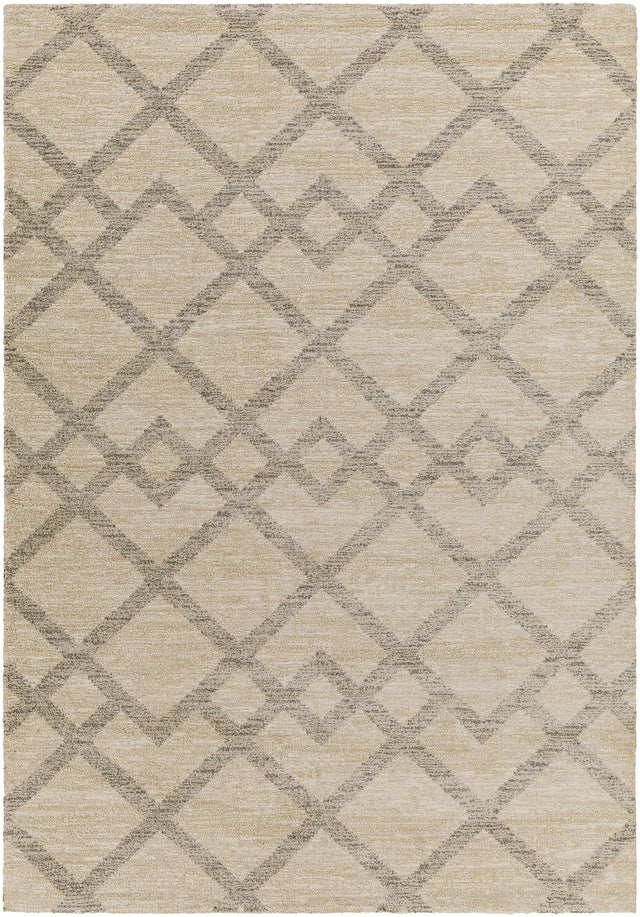 Surya Gavic Gvc-2319 Grey Rug.