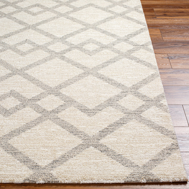 Surya Gavic Gvc-2319 Grey Rug.