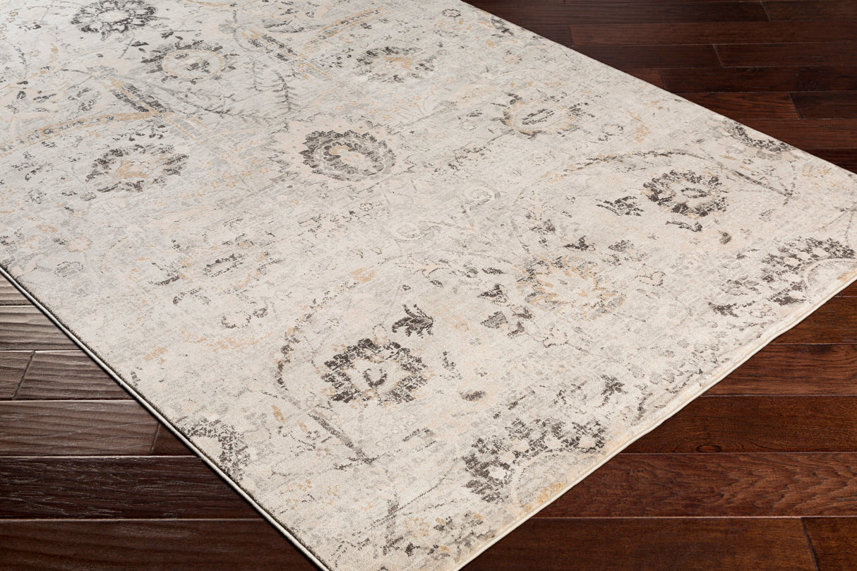 Surya Indigo Igo-2318 Charcoal, Tan, Black, Beige Rugs.