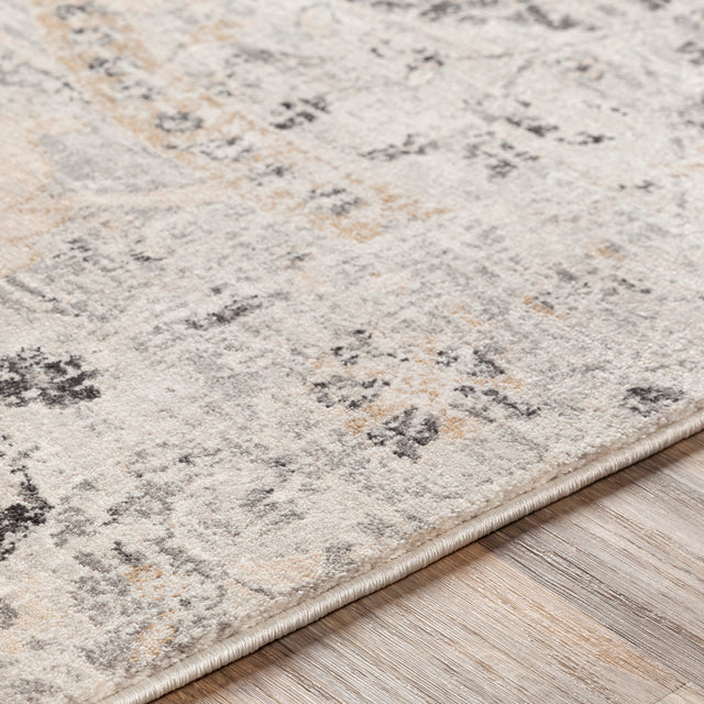 Surya Indigo Igo-2318 Charcoal, Tan, Black, Beige Rugs.