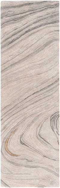 Surya Kavita Kvt-2304 Light Gray, Ivory, Medium Gray, Charcoal Area Rug