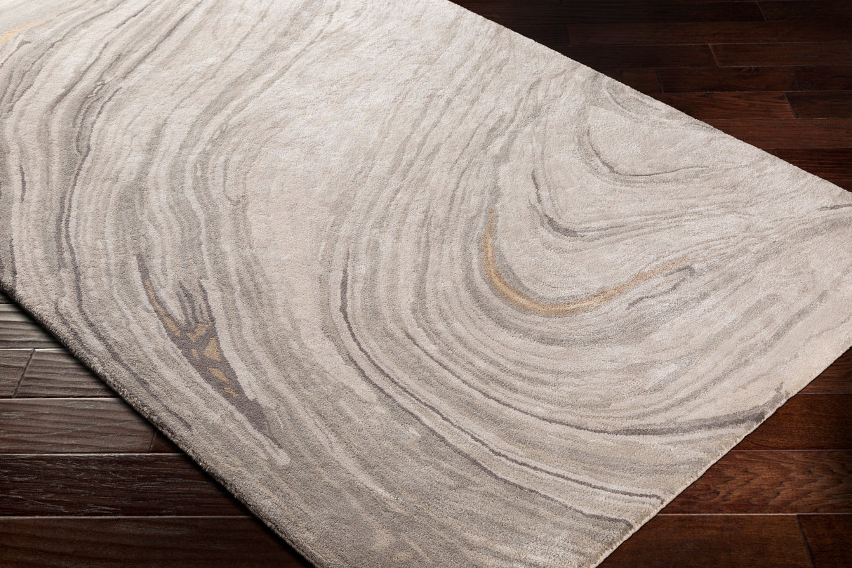 Surya Kavita Kvt-2304 Light Gray, Ivory, Medium Gray, Charcoal Rugs.