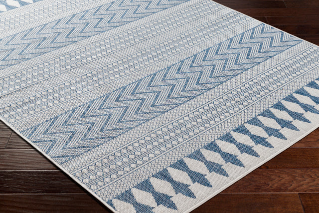 Surya Long Beach Lbh-2326 Blue Rug.