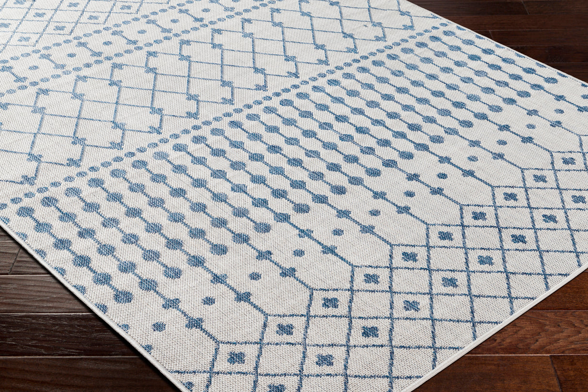 Surya Long Beach Lbh-2330 Blue Rug.