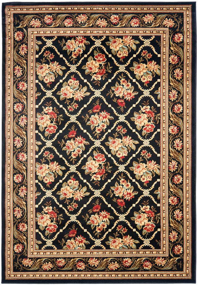 Safavieh Lyndhurst Lnh556-9090 Black / Black Rugs.