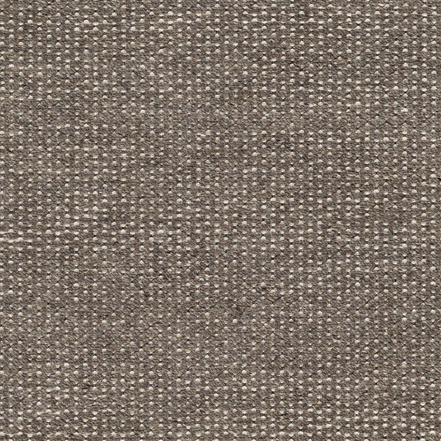 Surya Lumi Lum-2305 Brown Rug.