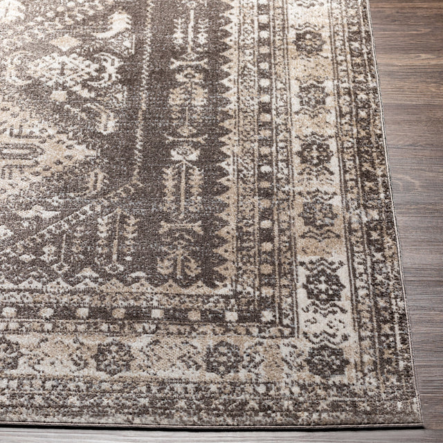 Surya Lavadora Lvr-2302 Dark Brown, Medium Gray, Taupe, Beige Rugs.