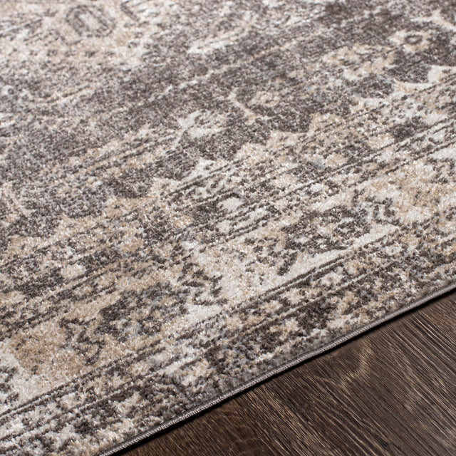 Surya Lavadora Lvr-2302 Dark Brown, Medium Gray, Taupe, Beige Rugs.