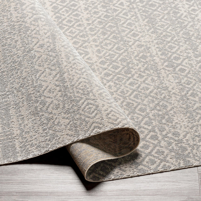 Surya Lavadora Lvr-2319 Gray, Light Gray Rugs.