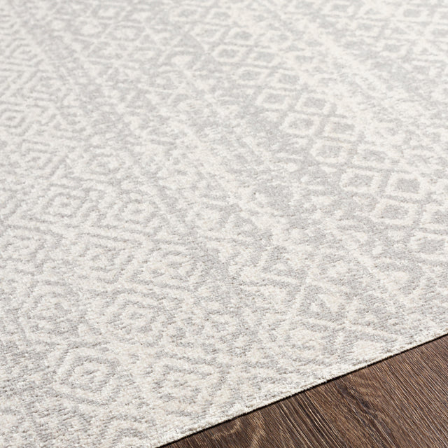 Surya Lavadora Lvr-2319 Gray, Light Gray Rugs.