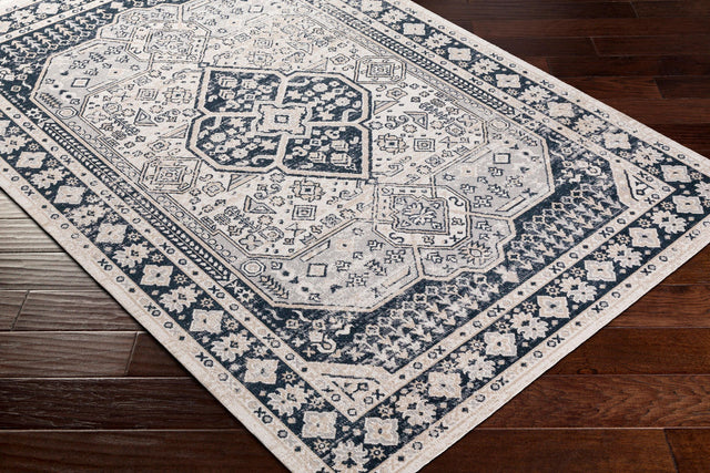 Surya Lavadora Lvr-2324 Black, Ink Blue, Light Gray, Light Beige Rugs.