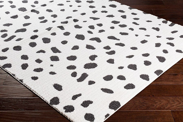 Surya Moroccan Shag Mcs-2307 Black, Charcoal, White Rugs.