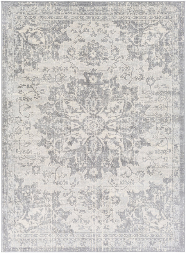 Surya Monaco Moc-2328 Silver Gray, Medium Gray, Cream Rugs.