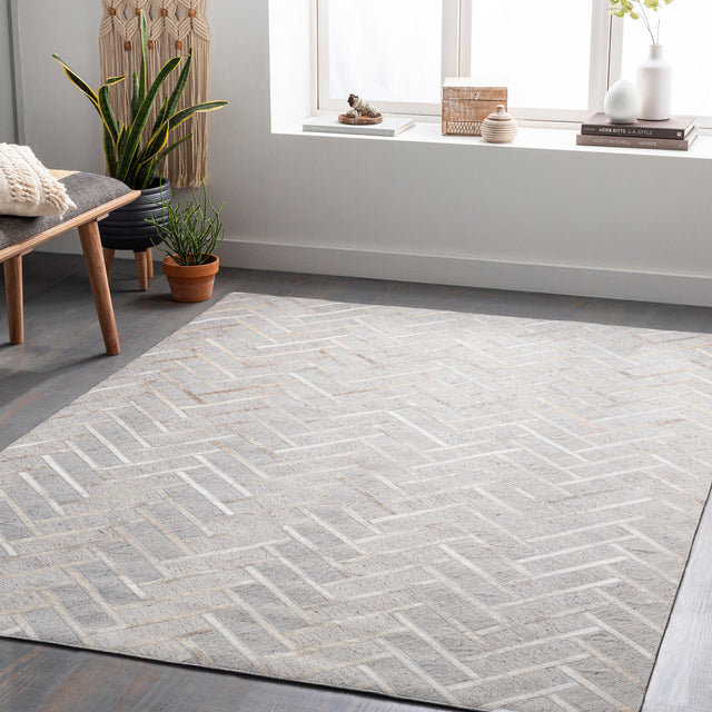 Surya Medora Mod-1026 Taupe, Medium Gray, Oatmeal, Tan Rugs.