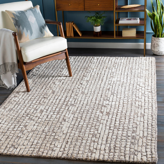 Surya Montclair Mtc-2304 Dark Brown, Ivory, Beige, Khaki Rugs.