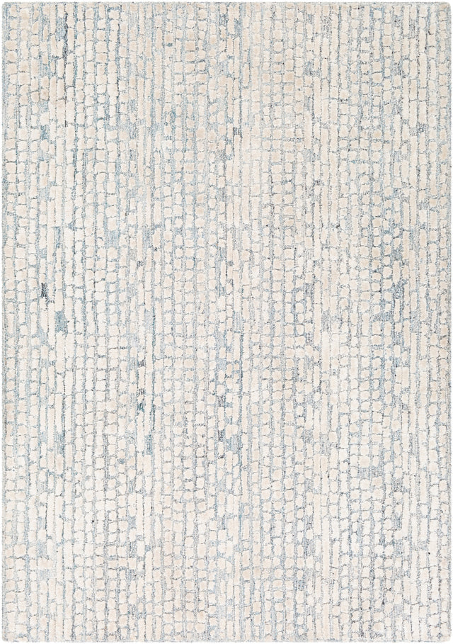 Surya Montclair Mtc-2309 Taupe, Beige, Sage, Black Rugs.