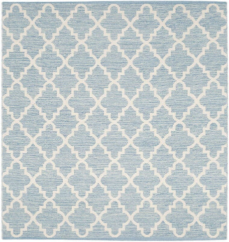 Safavieh Montauk Mtk810B Light Blue / Ivory Rugs.