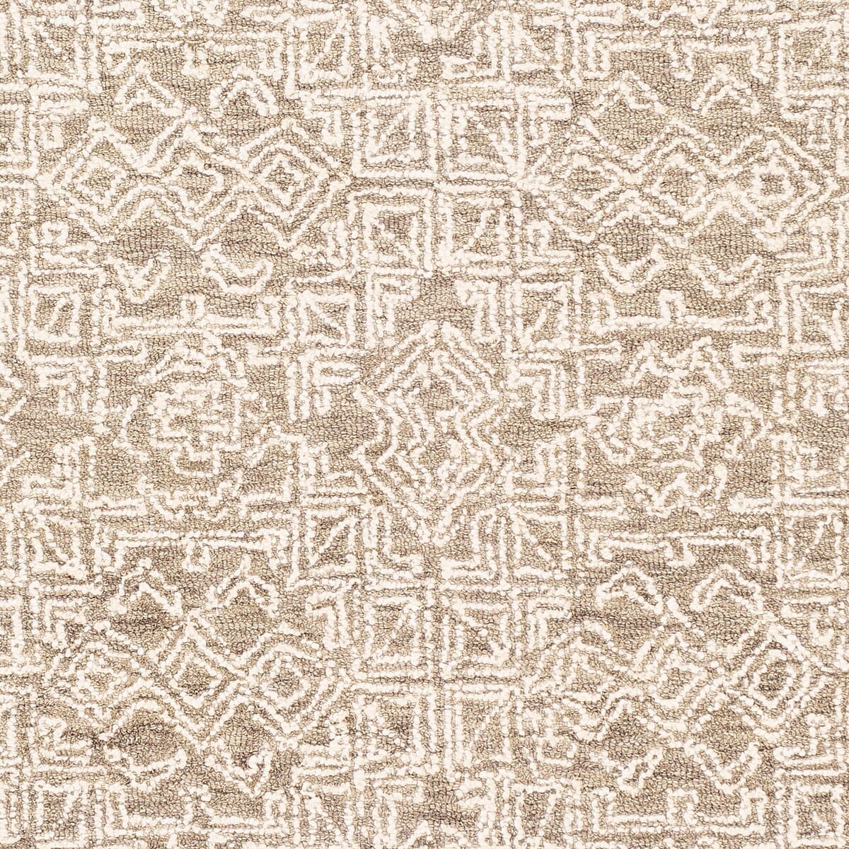 Surya Newcastle Ncs-2309 Taupe, Cream Rugs.