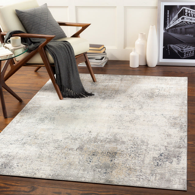 Surya Norland Nld-2314 Medium Gray, Charcoal, Cream, Beige Rugs.