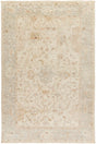Surya Normandy Noy-8002 Light Gray / Sea Foam / Ivory Rugs.