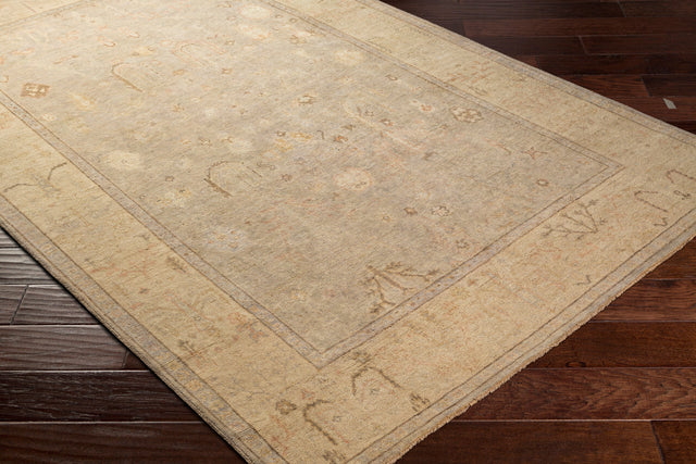Surya Normandy Noy-8012 Taupe, Cream, Light Gray, Dark Brown Rugs.
