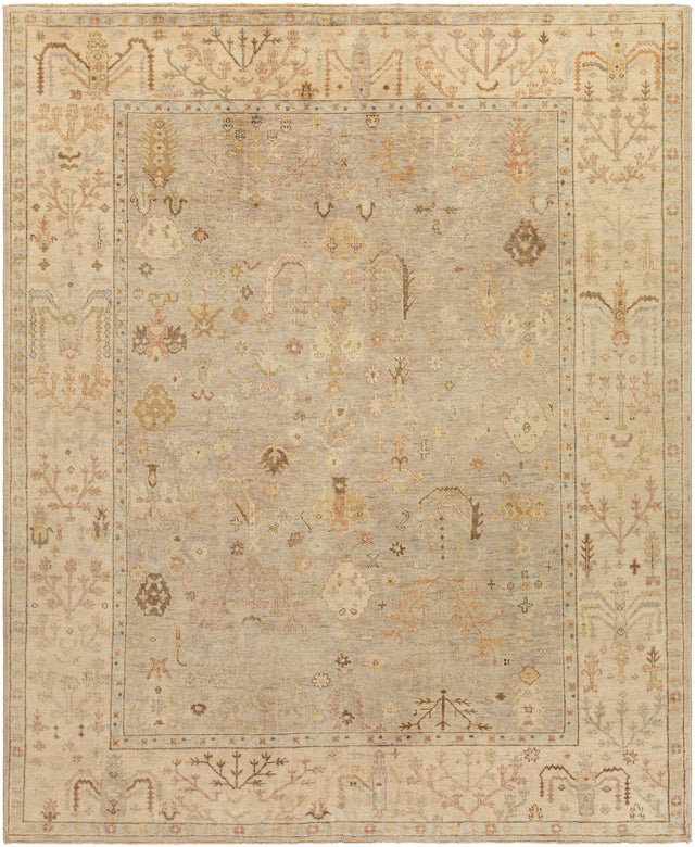 Surya Normandy Noy-8012 Taupe, Cream, Light Gray, Dark Brown Rugs.