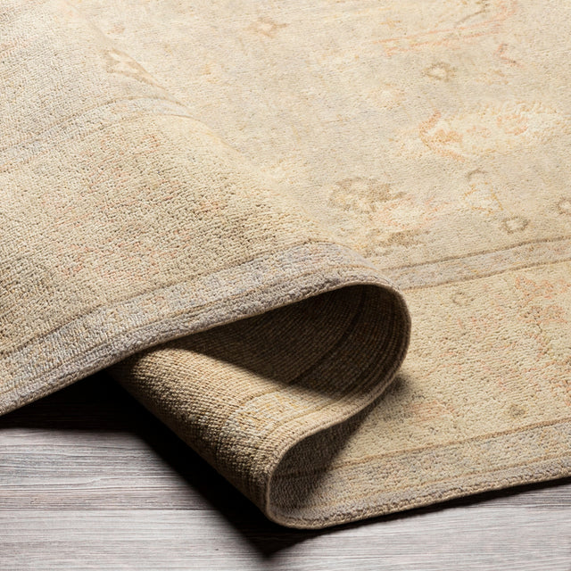 Surya Normandy Noy-8012 Taupe, Cream, Light Gray, Dark Brown Rugs.