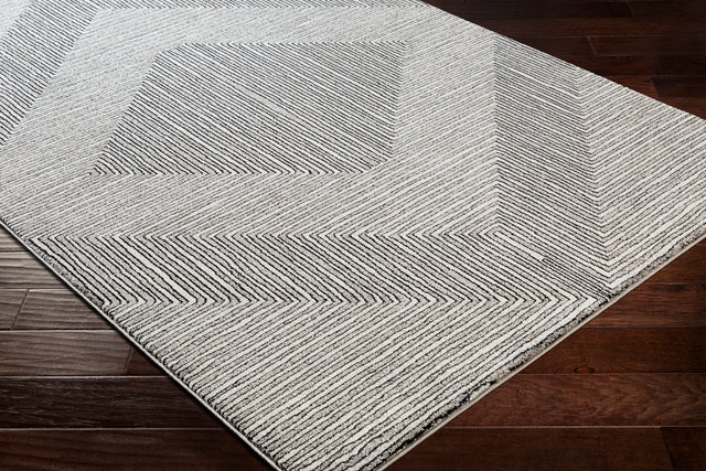 Surya Nepali Npi-2316 Black, Gray Rug.