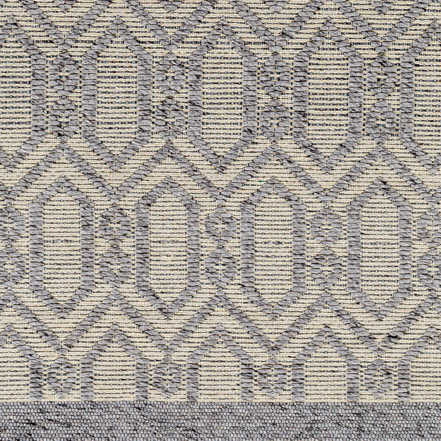 Surya Napoli Npo-2317 Grey Rug.