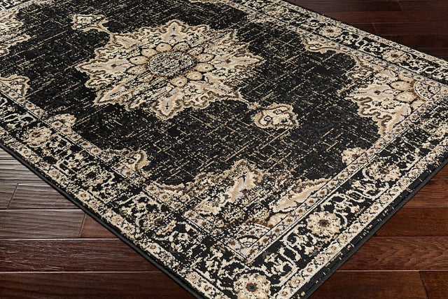 Surya Paramount Par-1089 Black, Charcoal, Khaki, Medium Gray Rugs.