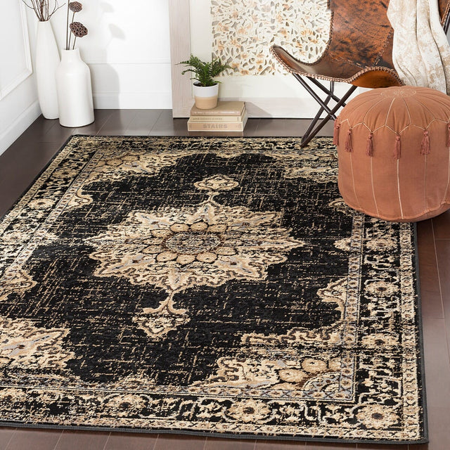 Surya Paramount Par-1089 Black, Charcoal, Khaki, Medium Gray Rugs.