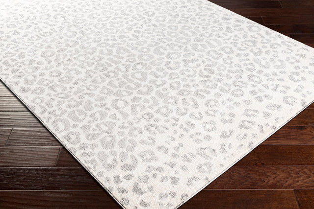 Surya Positano Psn-2305 Charcoal, Medium Gray, Light Gray, Ivory Rugs.