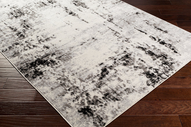 Surya Pisa Pss-2303 Medium Gray, Black, Ivory, Light Gray Rugs.