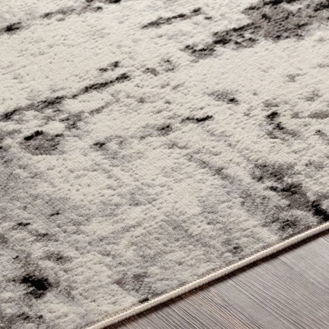 Surya Pisa Pss-2303 Medium Gray, Black, Ivory, Light Gray Rugs.