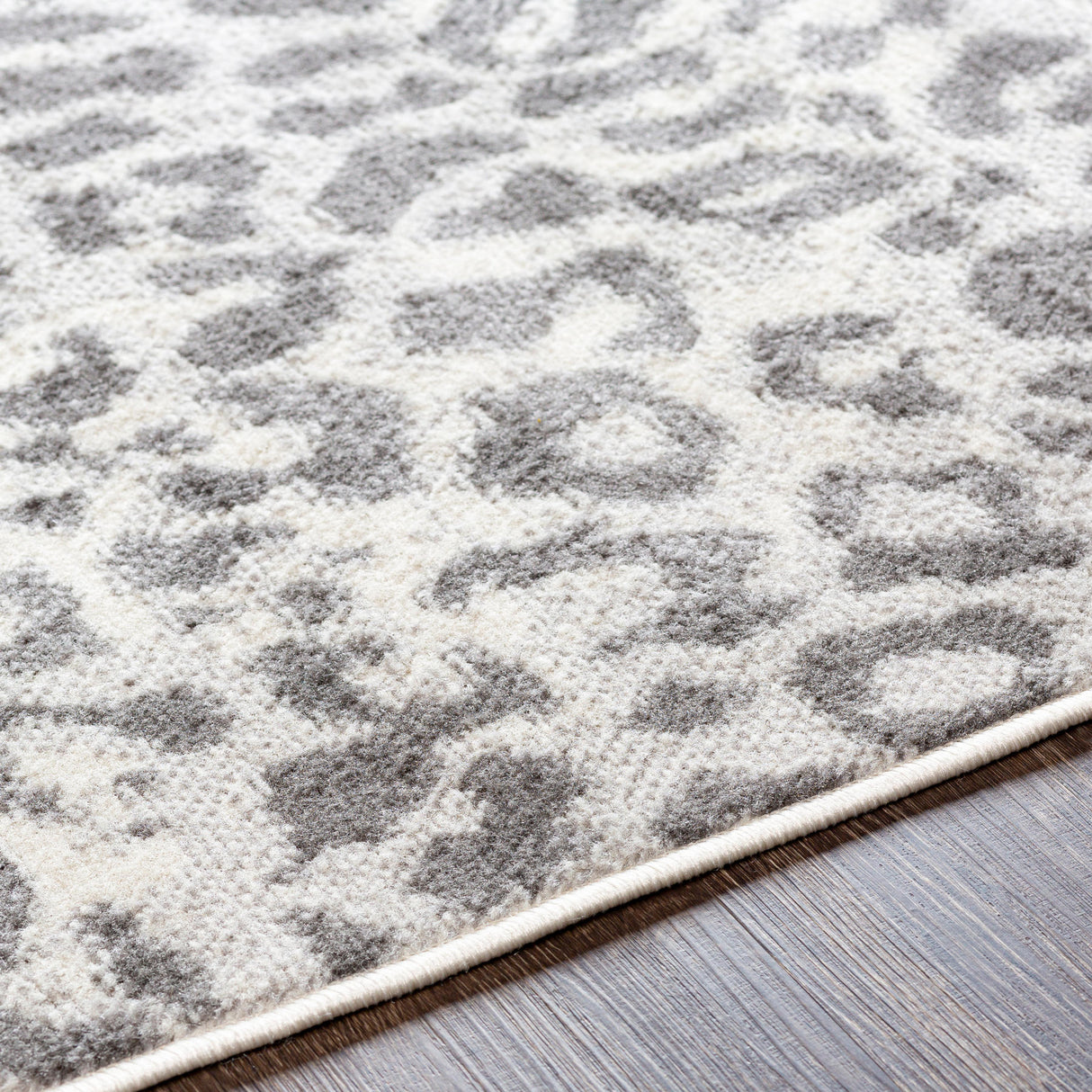 Surya Pisa Pss-2323 Orange Rugs.