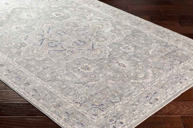 Surya Palazzo Pzl-2300 Taupe, Camel, Pale Blue, Denim Rugs.