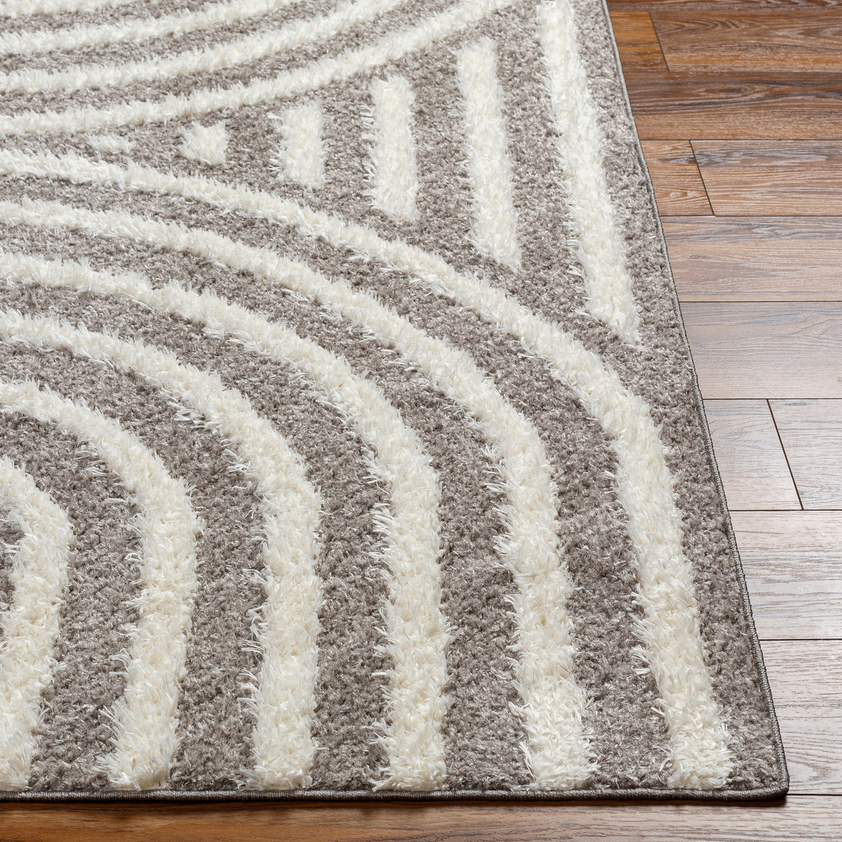 Surya Rodos Rdo-2329 Black Rug.