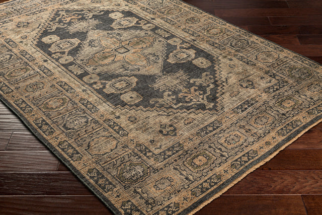 Surya Reign Reg-2309 Charcoal, Medium Gray, Taupe, Khaki Rugs.