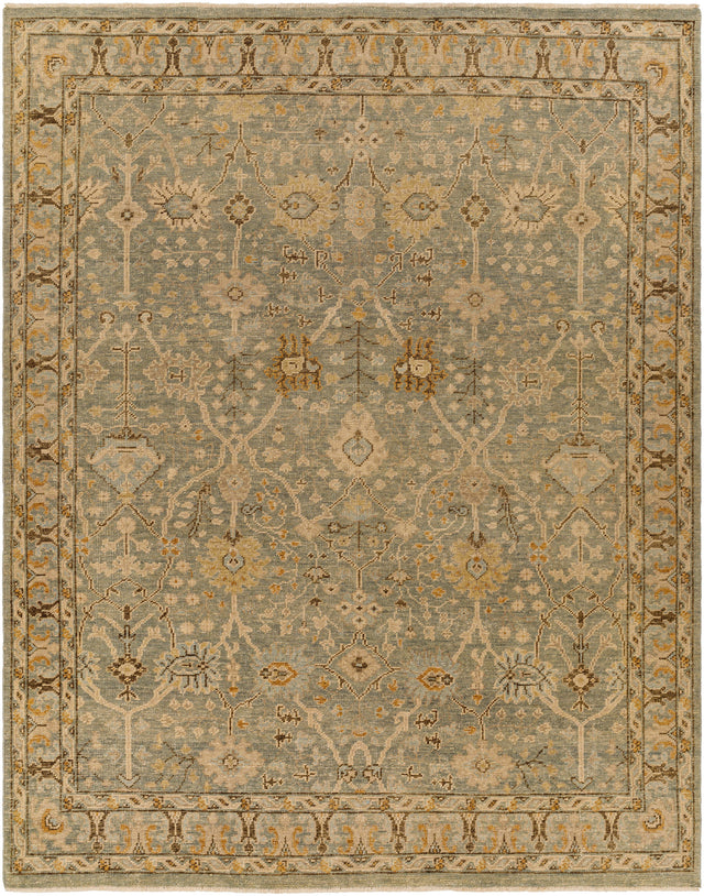 Surya Reign Reg-2311 Brown Rug.