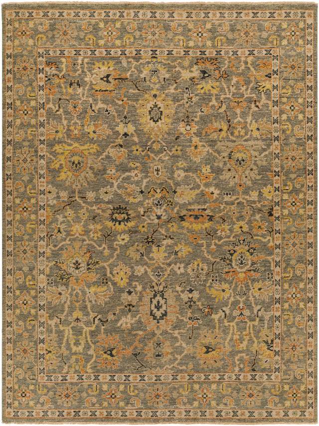 Surya Reign Reg-2313 Brown Rug.